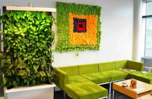 Зеленая стена из растений. Какие растения используют для вертикального озеленения квартир 02 Зеленая стена из растений. Какие растения используют для вертикального озеленения квартир 02