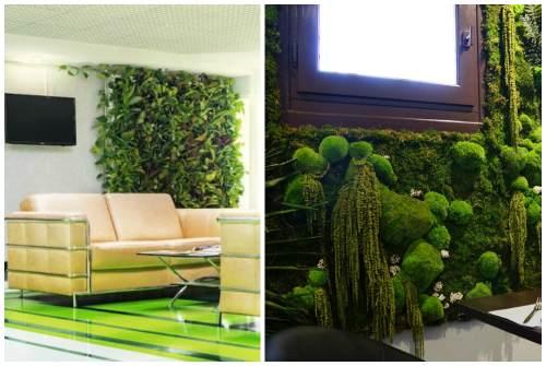 Зеленая стена из растений. Какие растения используют для вертикального озеленения квартир 13 Зеленая стена из растений. Какие растения используют для вертикального озеленения квартир 13