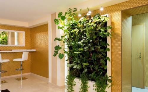 Зеленая стена из растений. Какие растения используют для вертикального озеленения квартир