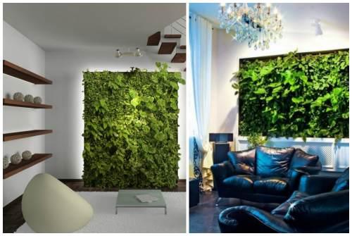 Зеленая стена из растений. Какие растения используют для вертикального озеленения квартир 03 Зеленая стена из растений. Какие растения используют для вертикального озеленения квартир 03
