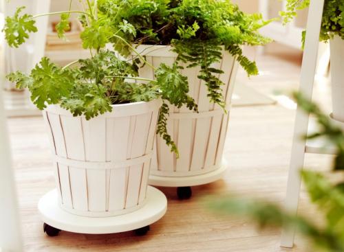 Стенка для цветов своими руками. Изделие своими руками