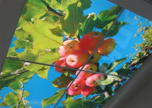 Размеры профиль для натяжного потолка. Зачем нужны профили для натяжных потолков 03 Размеры профиль для натяжного потолка. Зачем нужны профили для натяжных потолков 03