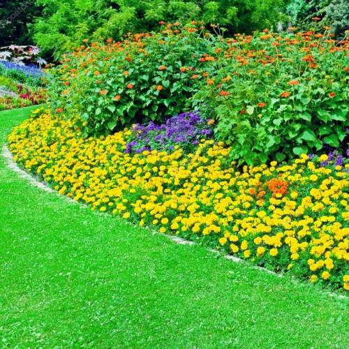 Как оформить клумбы. Красивые клумбы — варианты оформления, правила организации, выбор места, советы новичкам + 99 фото