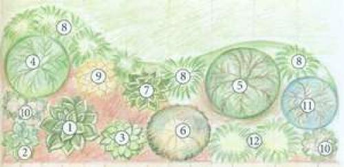 Яркий цветник из многолетников. Однолетники или многолетники — критерии выбора 03