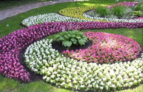 Как оформить клумбы. Красивые клумбы — варианты оформления, правила организации, выбор места, советы новичкам + 99 фото
