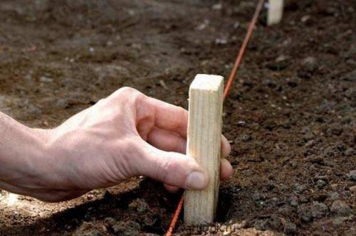 Оформление клумб на дачном участке. Особенности создания красивых клумб на участке