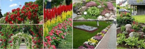 Простые клумбы на даче. Какие бывают клумбы?