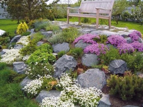 Простые клумбы на даче. Какие бывают клумбы?