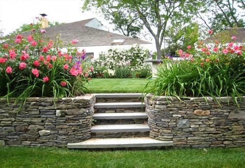 Озеленение участка – идеи по обустройству территории и варианты современного ландшафтного дизайна