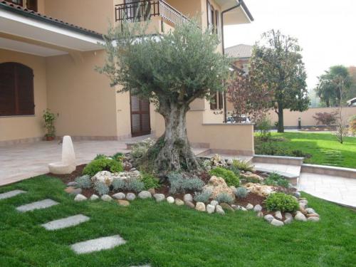 Как озеленить двор своими руками. Как выполнить озеленение двора — готовые решения для обустройства сада и приусадебного участка! (фото и видео)