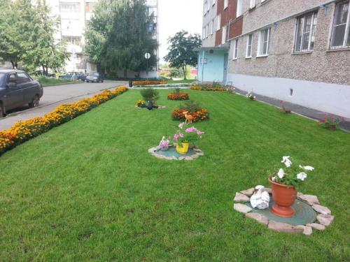 Как озеленить двор своими руками. Как выполнить озеленение двора — готовые решения для обустройства сада и приусадебного участка! (фото и видео)