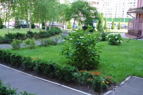 Как озеленить двор своими руками. Как выполнить озеленение двора — готовые решения для обустройства сада и приусадебного участка! (фото и видео)