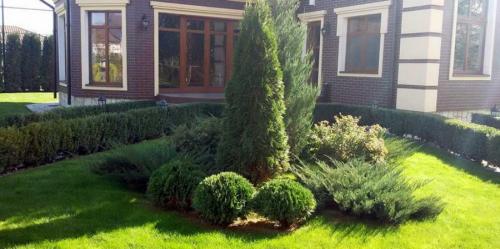 Озеленение участка – идеи по обустройству территории и варианты современного ландшафтного дизайна