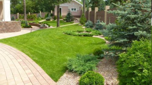 Как озеленить двор своими руками. Как выполнить озеленение двора — готовые решения для обустройства сада и приусадебного участка! (фото и видео)