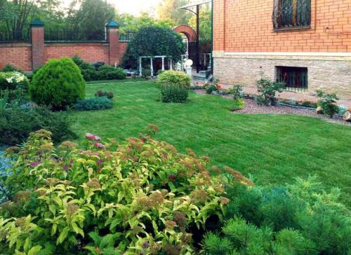 Как озеленить двор своими руками. Как выполнить озеленение двора — готовые решения для обустройства сада и приусадебного участка! (фото и видео)