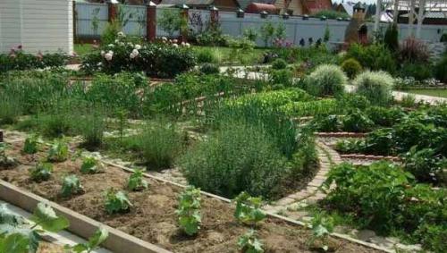 Простой ландшафтный дизайн маленького участка перед домом. Дорожки и декоративные акценты 33