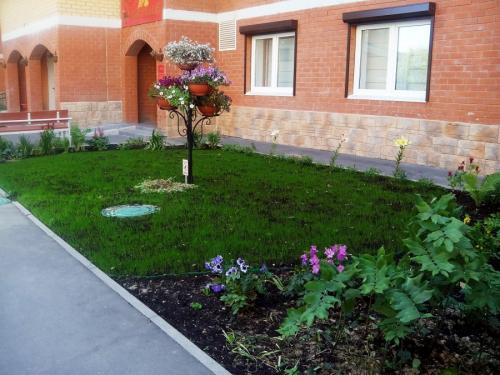 Благоустройство участка перед домом. Озеленение двора: ландшафтный дизайн и правила эффектного украшения участка (95 фото)