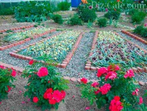 Как расположить огород и сад на участке возле дома. Что нужно знать, перед тем как приступать к планировке? 02