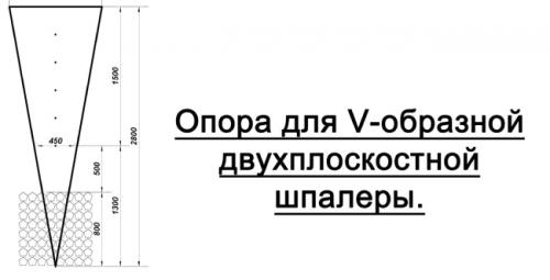 Арка для винограда из профильной трубы. Двухрядная