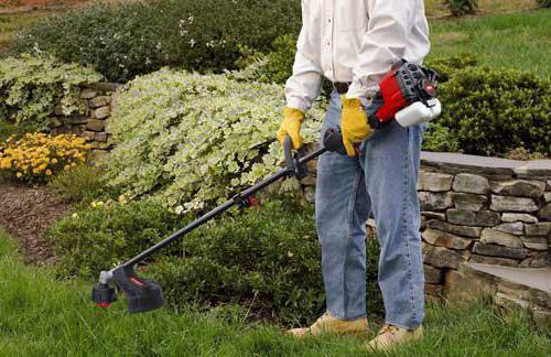 Ремонт триммера своими руками. Конструкция бензокосы 06