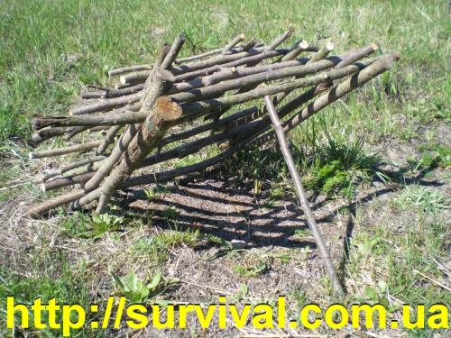 Как сделать ловушку. Варианты простых ловушек для птиц в помощь дачнику