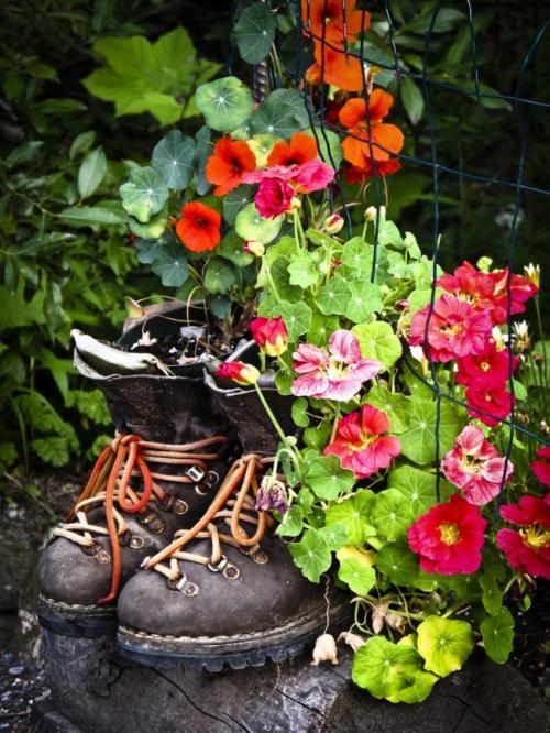 Кашпо для цветов из дерева своими руками для сада. Кашпо для сада — лучшие варианты и оригинальные идеи для украшения цветов (70 фото)