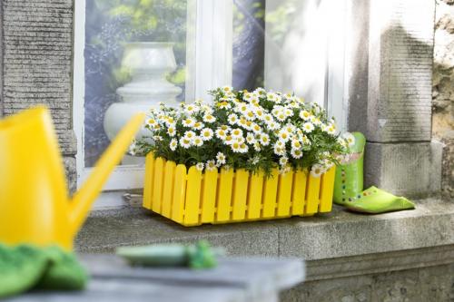 Кашпо для цветов из дерева своими руками для сада. Кашпо для сада — лучшие варианты и оригинальные идеи для украшения цветов (70 фото)