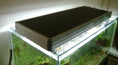 Бассейн под поликарбонатом. Обшивка каркаса поликарбонатом 03 Бассейн под поликарбонатом. Обшивка каркаса поликарбонатом 03