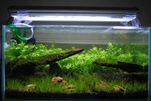 Бассейн под поликарбонатом. Обшивка каркаса поликарбонатом 02 Бассейн под поликарбонатом. Обшивка каркаса поликарбонатом 02