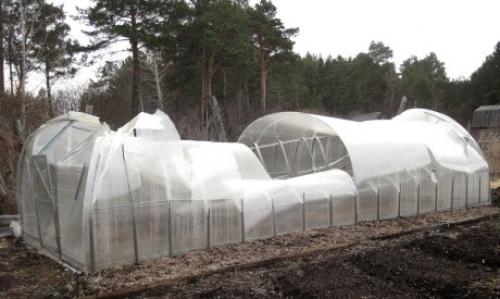 Как закрыть теплицу поликарбонатом своими руками. Правильный выбор поликарбоната при покупке 17