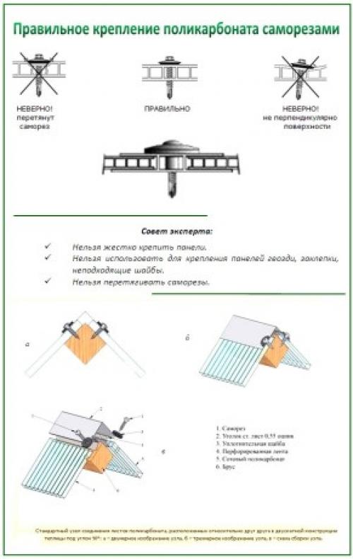 Как закрыть теплицу поликарбонатом своими руками. Правильный выбор поликарбоната при покупке 23