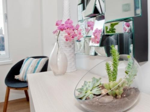 Декоративные растения для участка. Виды декоративных трав 08