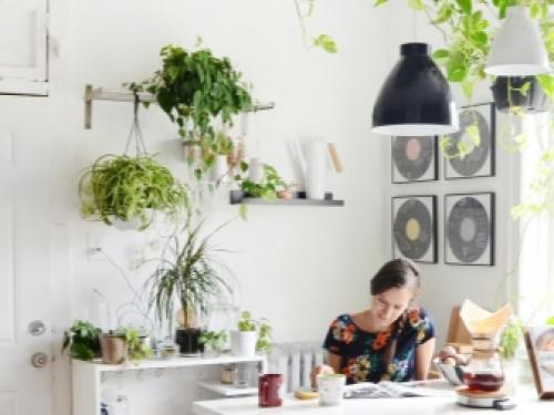 Декоративные растения для участка. Виды декоративных трав 09