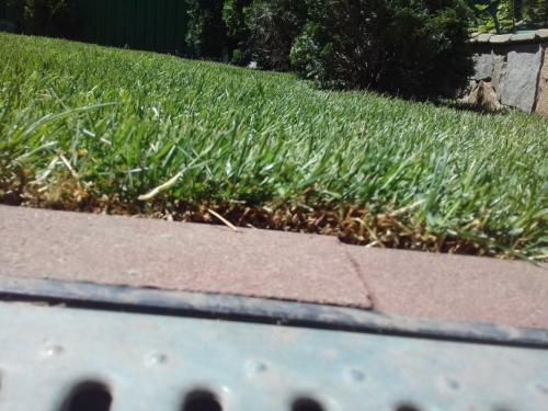 Как правильно выровнять участок. Выровнять участок своими руками — подробная инструкция, советы экспертов и обзор технологий для быстрого и эффективного выравнивания земли (140 фото)