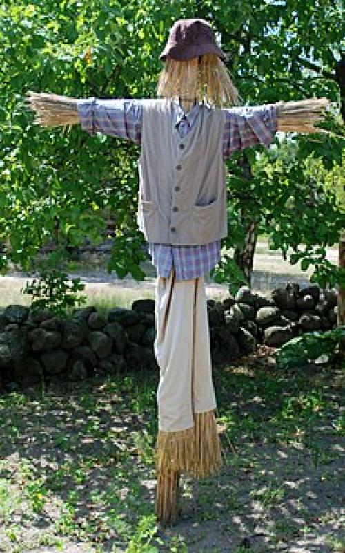 Пугало огородное картинки. Секрет эффективного пугала 10