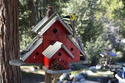 Пугало огородное картинки. Секрет эффективного пугала 24