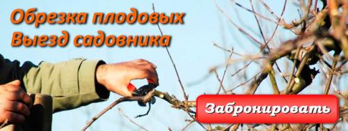 Планировка и благоустройство участка. Как распланировать садовый и дачный участок 01