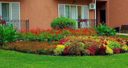 Клумбы на газоне. Как сделать клумбу на газоне