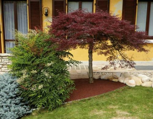 Оформление края газона. Как оформить красивый край газона