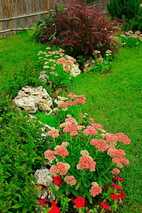 Клумбы на газоне. Как сделать клумбу на газоне