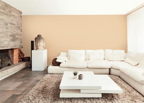 Фасад дома цвета кофе с молоком. Короед цвет кофе с молоком