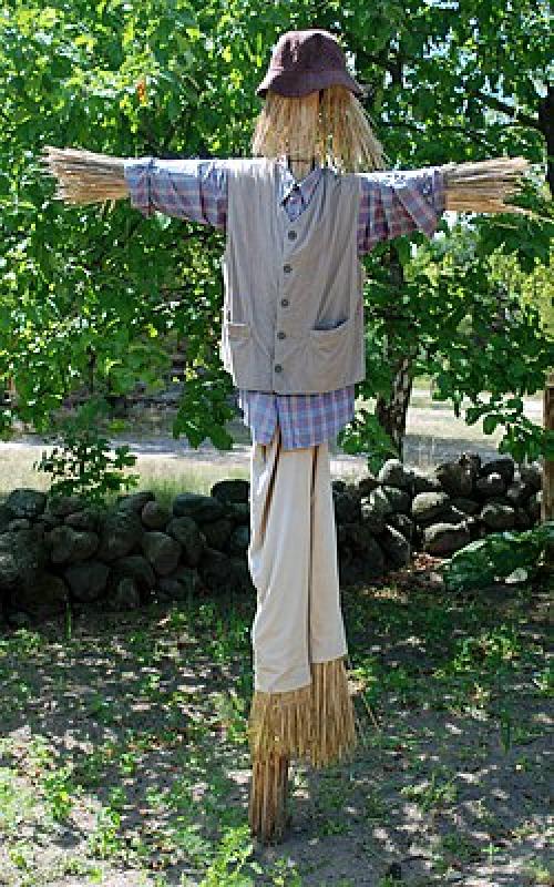 Страшное чучело на огороде: история рисунка 04 Страшное чучело на огороде: история рисунка 04