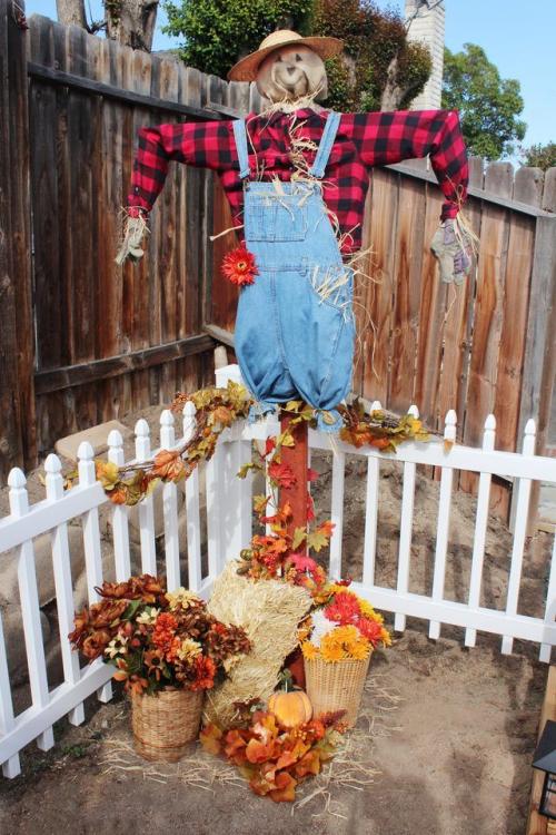 Более 100 000 изображений осенних пугал: ваше полное руководство 01