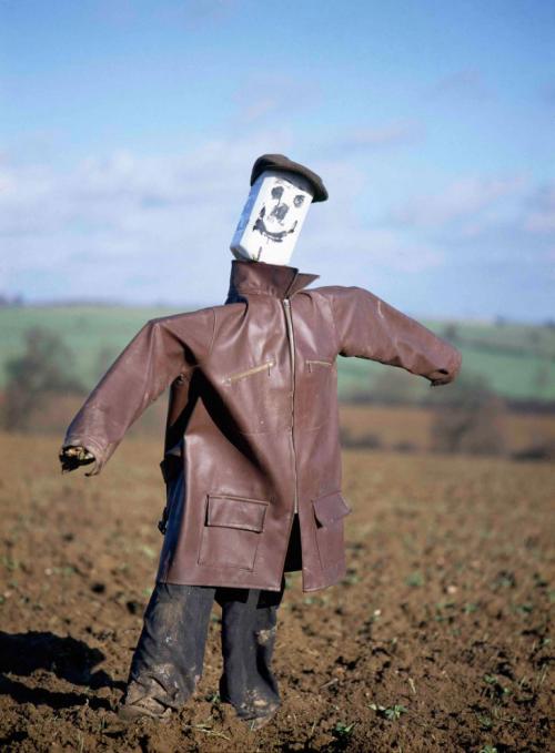 Как изменился дизайн пугал за время в сельской местности. Пугала: страшные фотографии из сельской местности Англии