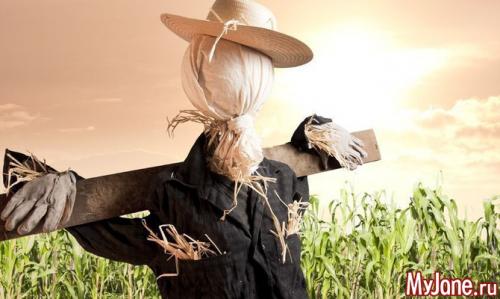 Эффективны ли комические пугала больше, чем обычные. Пугало, ультразвук и другие способы сберечь урожай