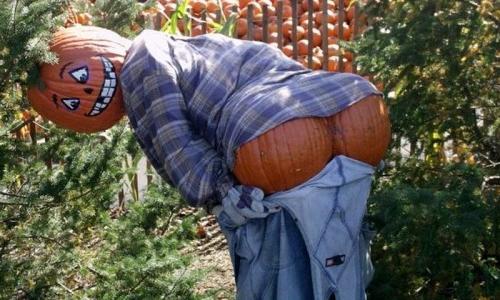 Какие самые оригинальные идеи для пугал вы знаете. Идеи для пугало на вашем участке