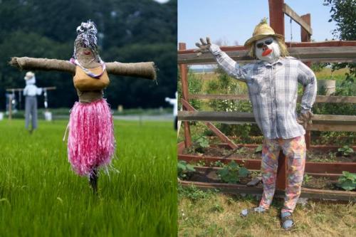 Какие креативные идеи для пугал можно воплотить в саду. Идеи для пугало на вашем участке