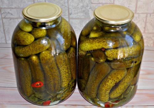 При какой температуре можно хранить закрутки на зиму. Как хранить консервацию, если нет погреба? 02 При какой температуре можно хранить закрутки на зиму. Как хранить консервацию, если нет погреба? 02