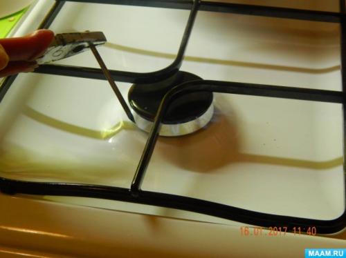 Какие поделки можно сделать из пластиковых бутылок для животных. Мастер-класс «Кормушка из пластиковой бутылки»