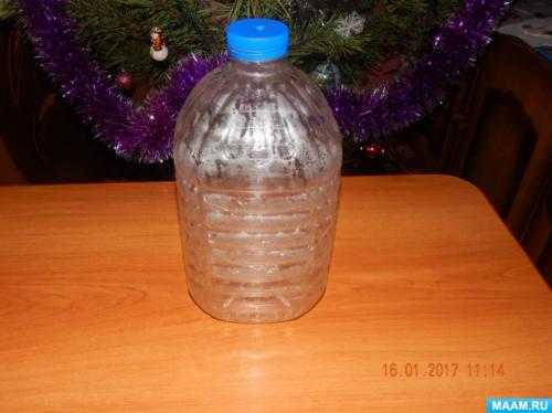 Какие поделки можно сделать из пластиковых бутылок для животных. Мастер-класс «Кормушка из пластиковой бутылки»